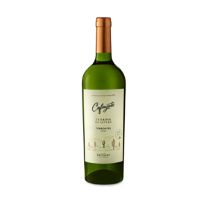 Cafayate Terroir De Altura - Torrontes