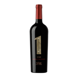 Antigal UNO - Cabernet Sauvignon
