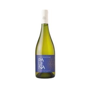 Palena - Sauvignon Blanc Reserva Especial 2024